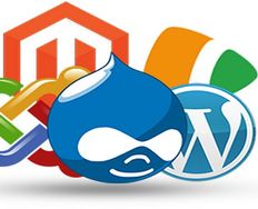 Content Management Systems - Article hero image