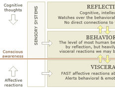 Don Norman’s Three Levels of Design - Article hero image