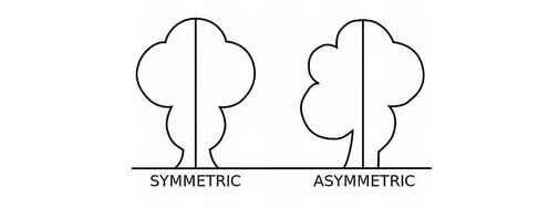Symmetry vs. Asymmetry - Recalling basic design principles - Article hero image