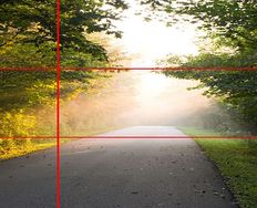 The Rule of Thirds: Know your layout sweet spots - Article hero image