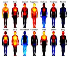 The Three Schools of Thought Governing Emotion in Technology - Article hero image