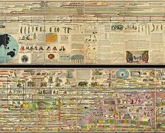 Information Visualization – A Brief Pre-20th Century History - Article hero image