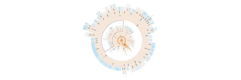 Information Visualization an Introduction to Transformable Information Representations