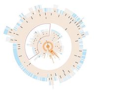 Information Visualization an Introduction to Transformable Information Representations - Article hero image