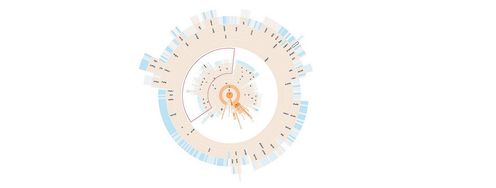Information Visualization an Introduction to Transformable Information Representations - Article hero image