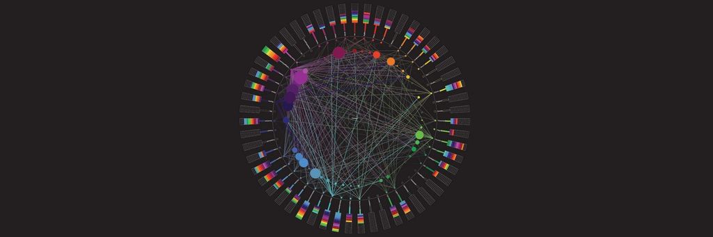 The Principles of Information Visualization for Basic Network Data