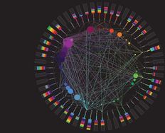 The Principles of Information Visualization for Basic Network Data - Article hero image