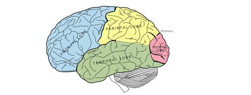 The Properties of Human Memory and Their Importance for Information Visualization - Article hero image