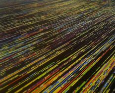 Preattentive Visual Properties and How to Use Them in Information Visualization - Article hero image