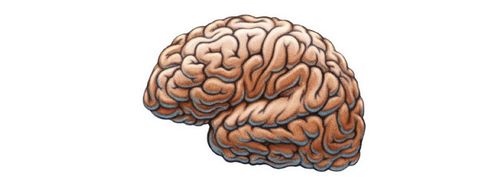 Three Common Models of the Brain to Help You Develop Better User Experiences - Article hero image