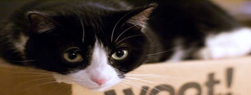 Creating Lust, Desirability and the Mobile User Experience - Article hero image