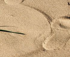 5 Tips for Happier Users – Giving Them Back Their Time - Article hero image