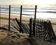 How to Break Barriers to Market Entry - Article hero image