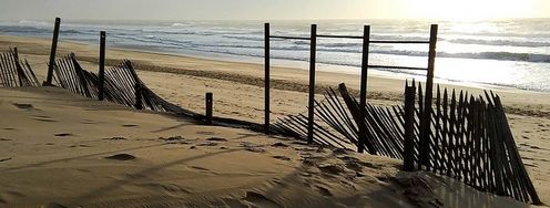 How to Break Barriers to Market Entry - Article hero image