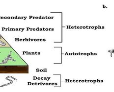 Market Ecology and Product Adoption and Continued Use - Article hero image