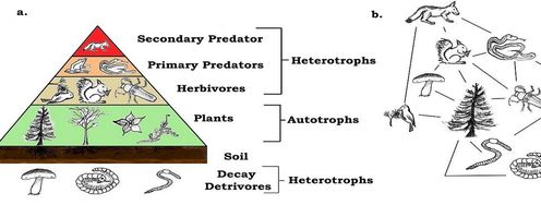 Market Ecology and Product Adoption and Continued Use - Article hero image