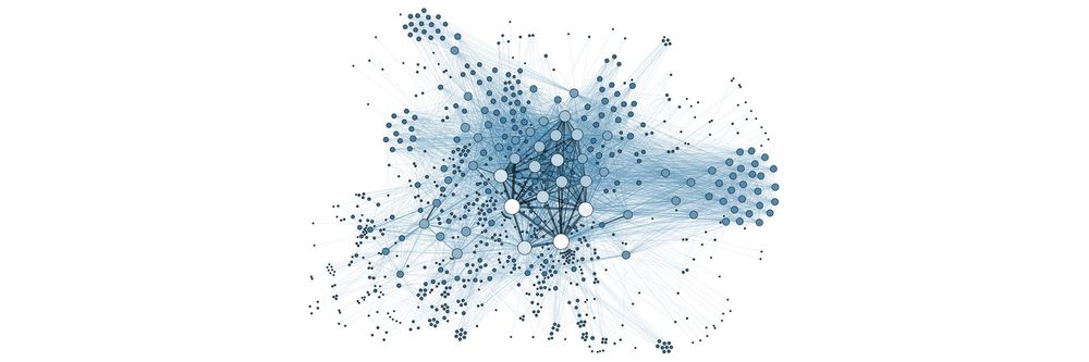 Value Networks and Why They Matter