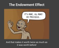 Endowment Effect - The Economics of Design - Article hero image