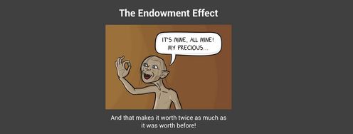 Endowment Effect - The Economics of Design - Article hero image