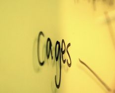 The Bandwagon Bias – The Dangers of Groupthink - Article hero image