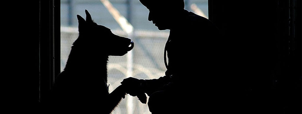 Emotional Drivers for User and Consumer Behavior