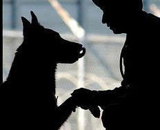 Emotional Drivers for User and Consumer Behavior - Article hero image