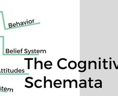 Schemas: Designing According to Users' Expectations - Article hero image