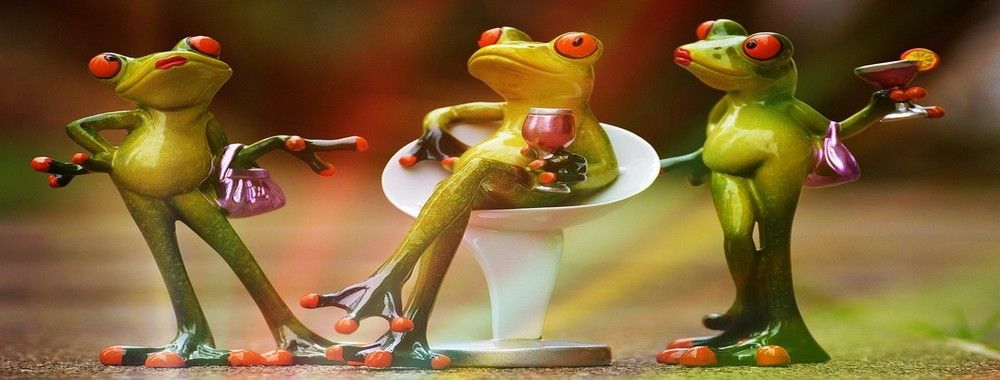 frog eating