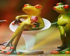 Identify and Eat Your Frog to Increase Your Effectiveness - Article hero image