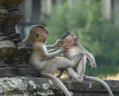 A Brief History of Games - Article hero image