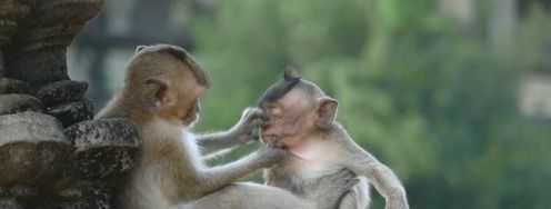 A Brief History of Games - Article hero image