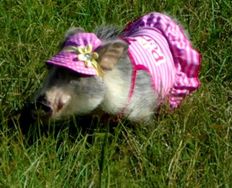 How to Clarify Your Expectations of Gamification Projects - Article hero image