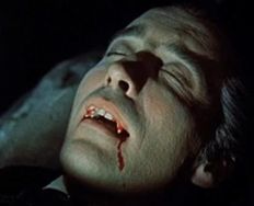 Video and Web Design - Article hero image