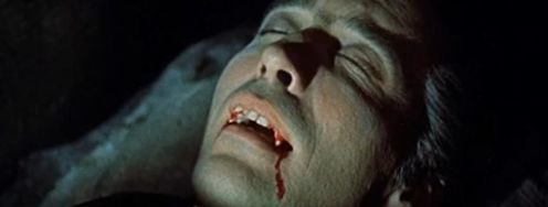 Video and Web Design - Article hero image