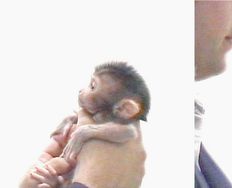 Sympathetic Bonding and Why It’s Useful in Design - Article hero image