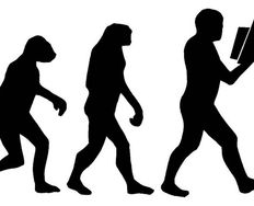 Social Evolution and Why We Need to Communicate - Article hero image