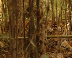 Fear of Loss Provides Motivation to Buy - Article hero image