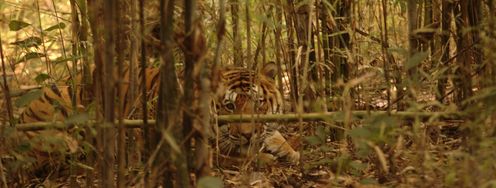 Fear of Loss Provides Motivation to Buy - Article hero image