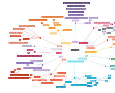 How to Transform Mental Models into Conceptual Models for Mobile UX - Article hero image