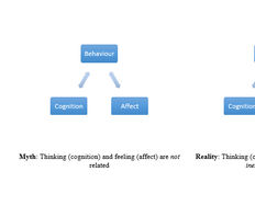 How Emotions Impact Cognition - Article hero image