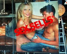 The Reptilian Brain: Emotion and Design - Article hero image