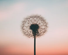 Plan for Incubation Time: When Is Doing Nothing the Best Thing to Do? - Article hero image