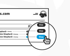 Designing the Smallest Possible Thing - Article hero image