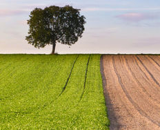 When and Why to Use Analytics - Article hero image