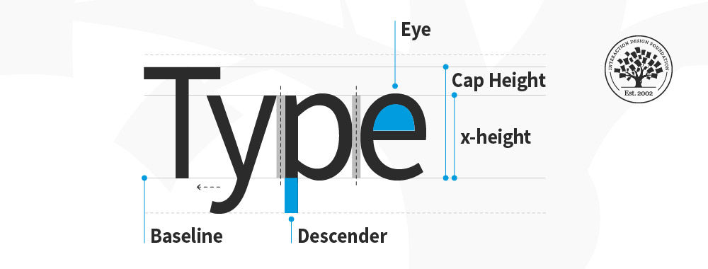 Illustration depicting the word type on a typographic grid with highlighted anatomy terms