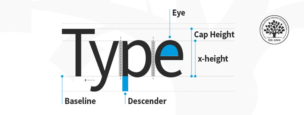 What Is Type Anatomy?