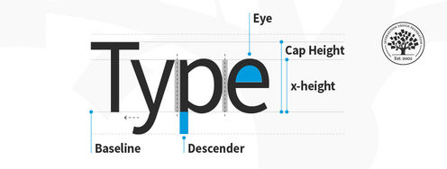 What Is Type Anatomy? - Article hero image