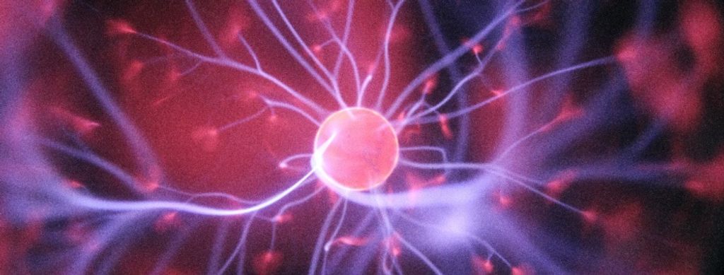 5 Ways to Use Behavioral Science to Create Better Products