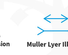 How to use Sensation and Perception when we design - Article hero image