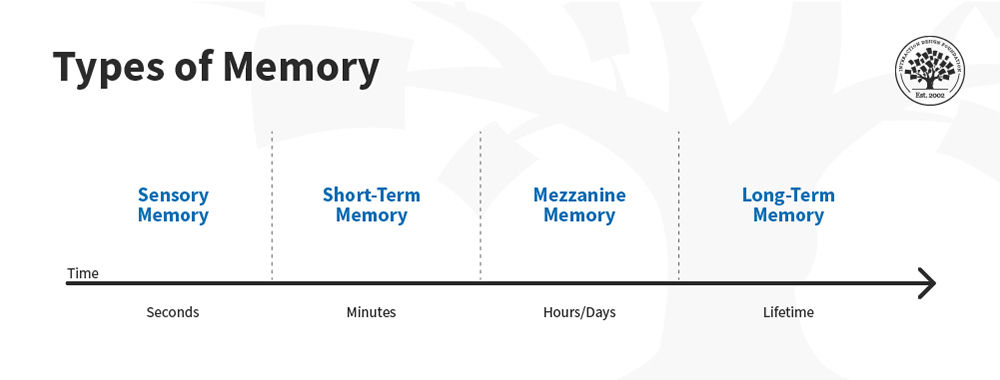 Timeline showing sensory, short-term, mezzanine and long-term memory with increasing time units of retention from seconds to lifetime